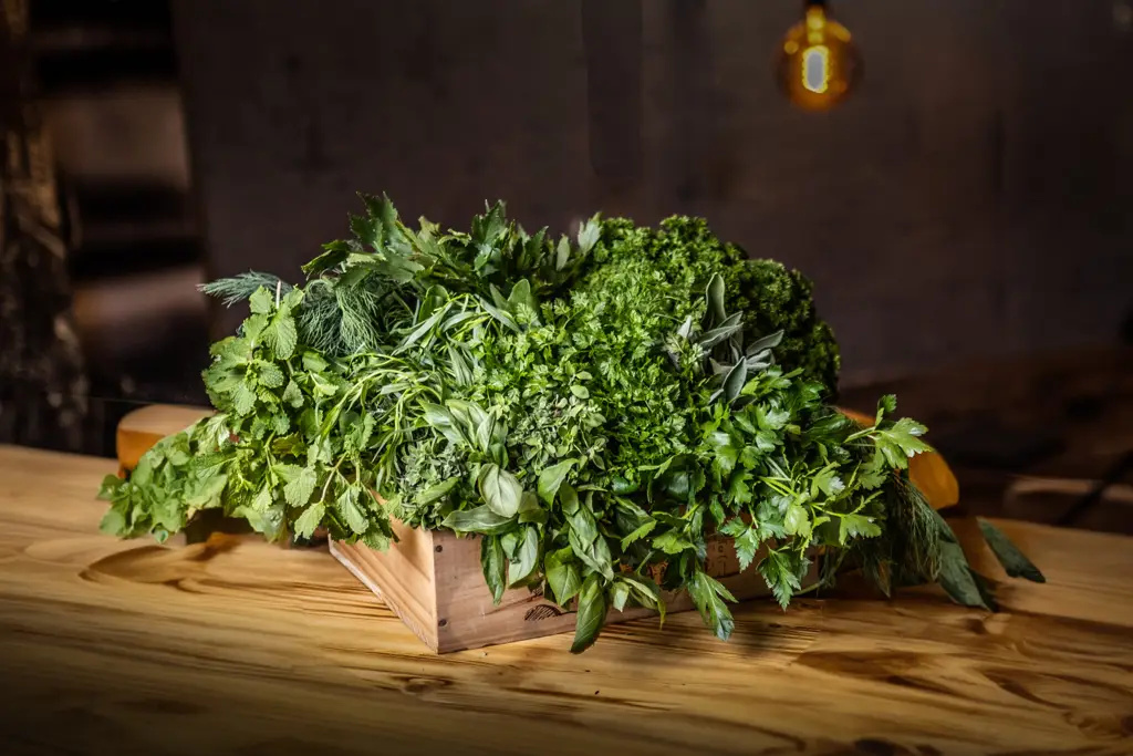 Kräuterbar