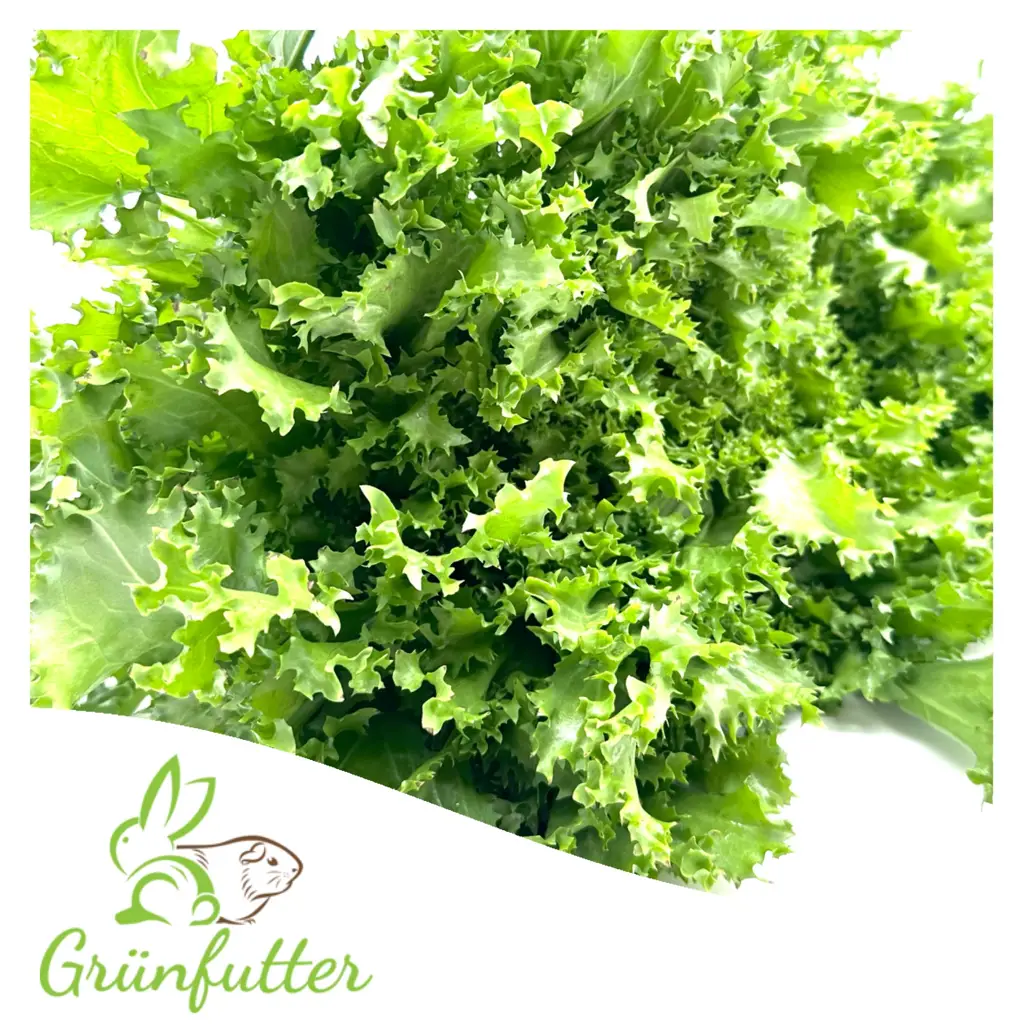Frisée