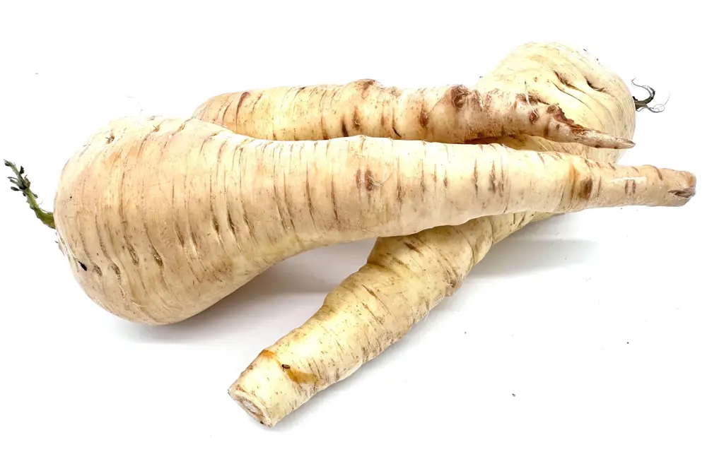 Pastinaken