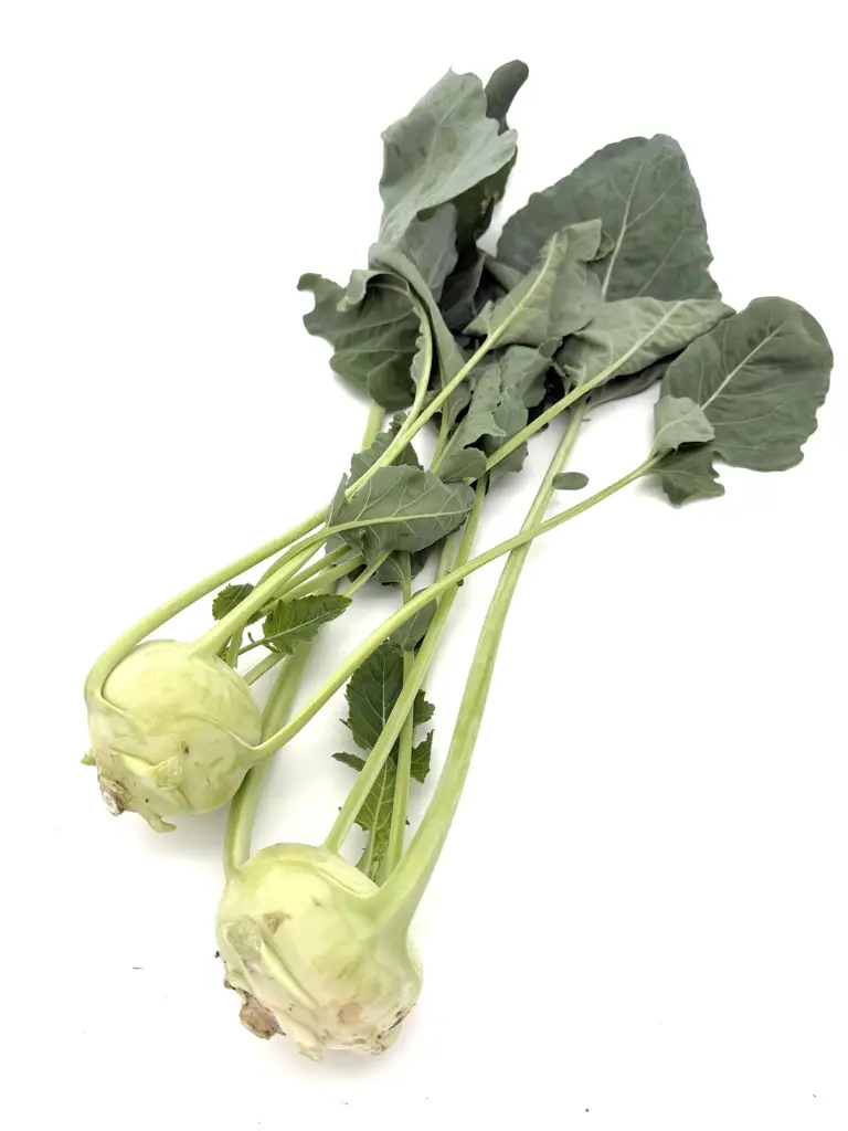 Kohlrabi mit Blatt