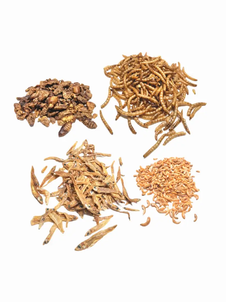 Eiweiss für Nager und Igel - Protein-Mix