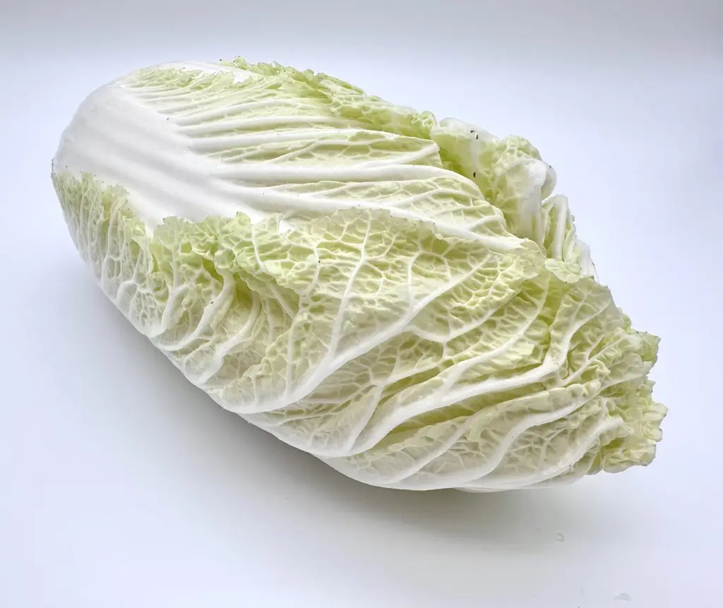 Chinakohl