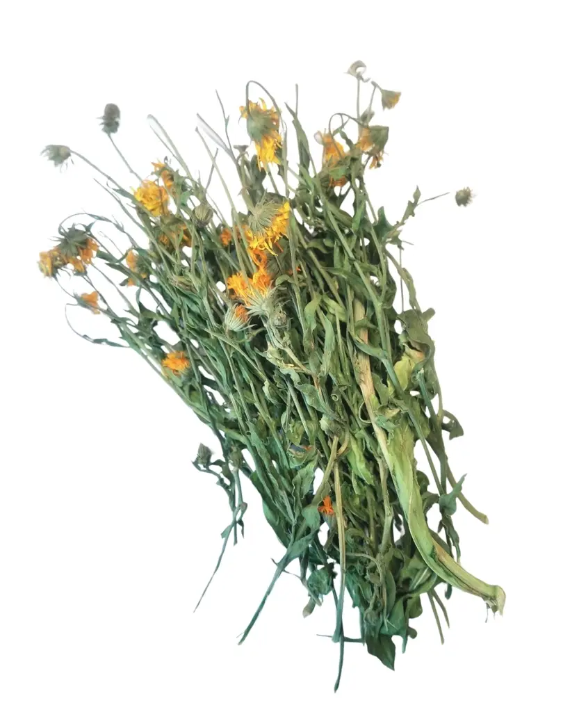 Erlebnisfutter Blumenstrauss | Frisch vom Bio-Feld 🇨🇭