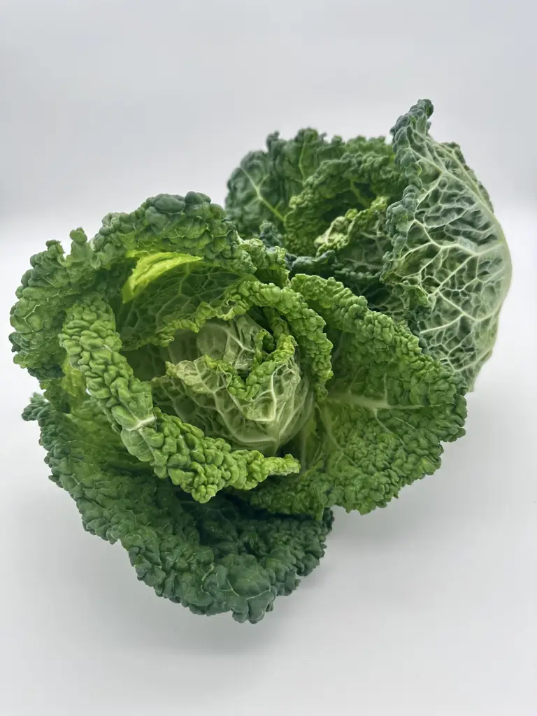 Wirz