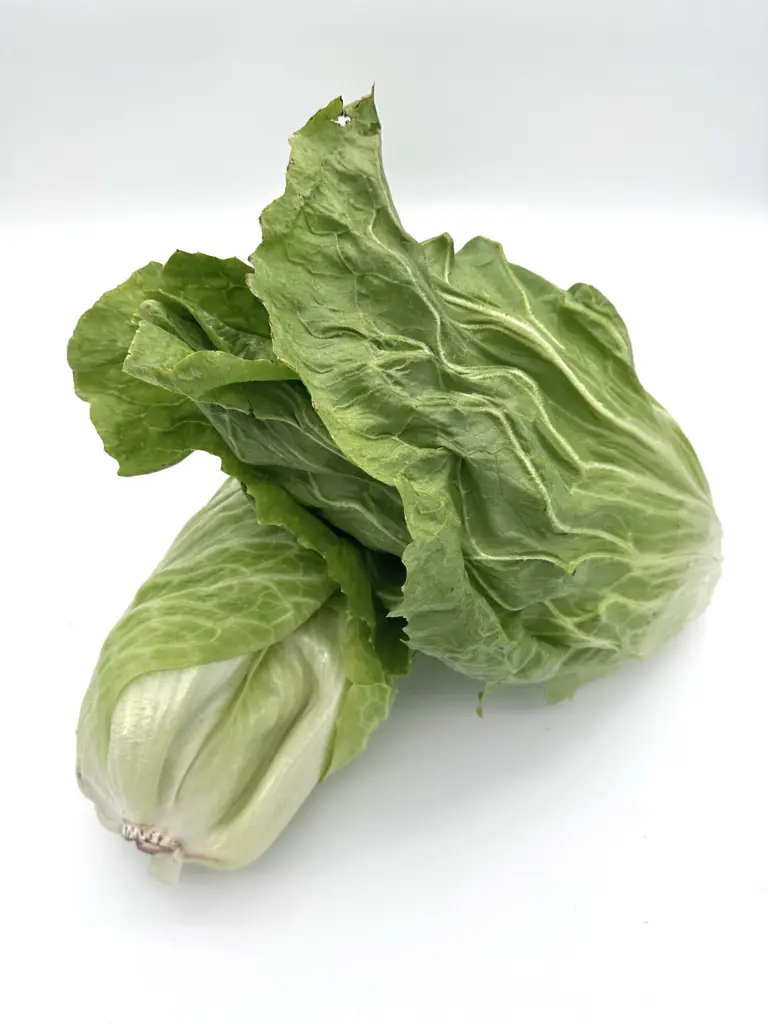 Zuckerhut