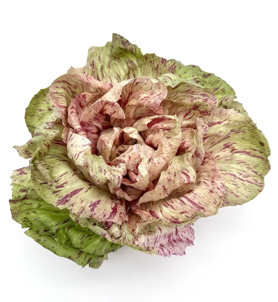 Castelfranco