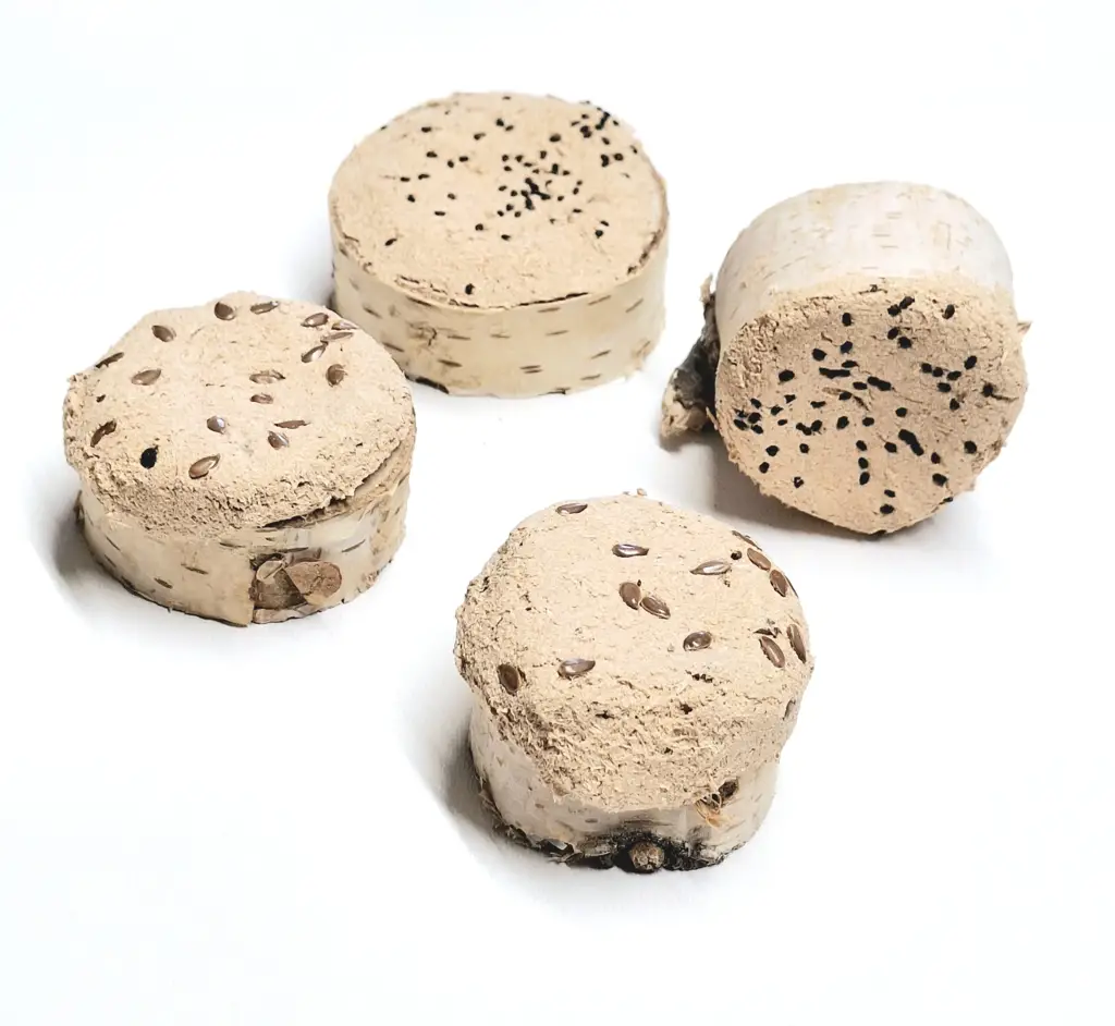 Birkenbecher Muffin – Beschäftigung für Nager 🇨🇭
