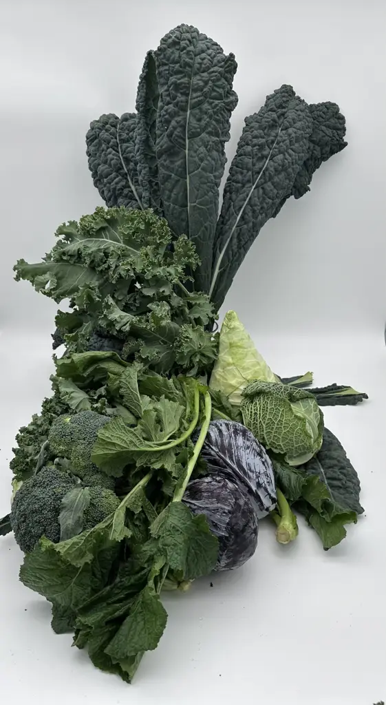 Kohl