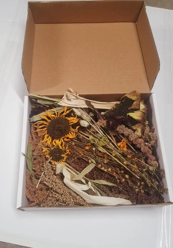 Picknick Box vom Feld für Nager und Kaninchen