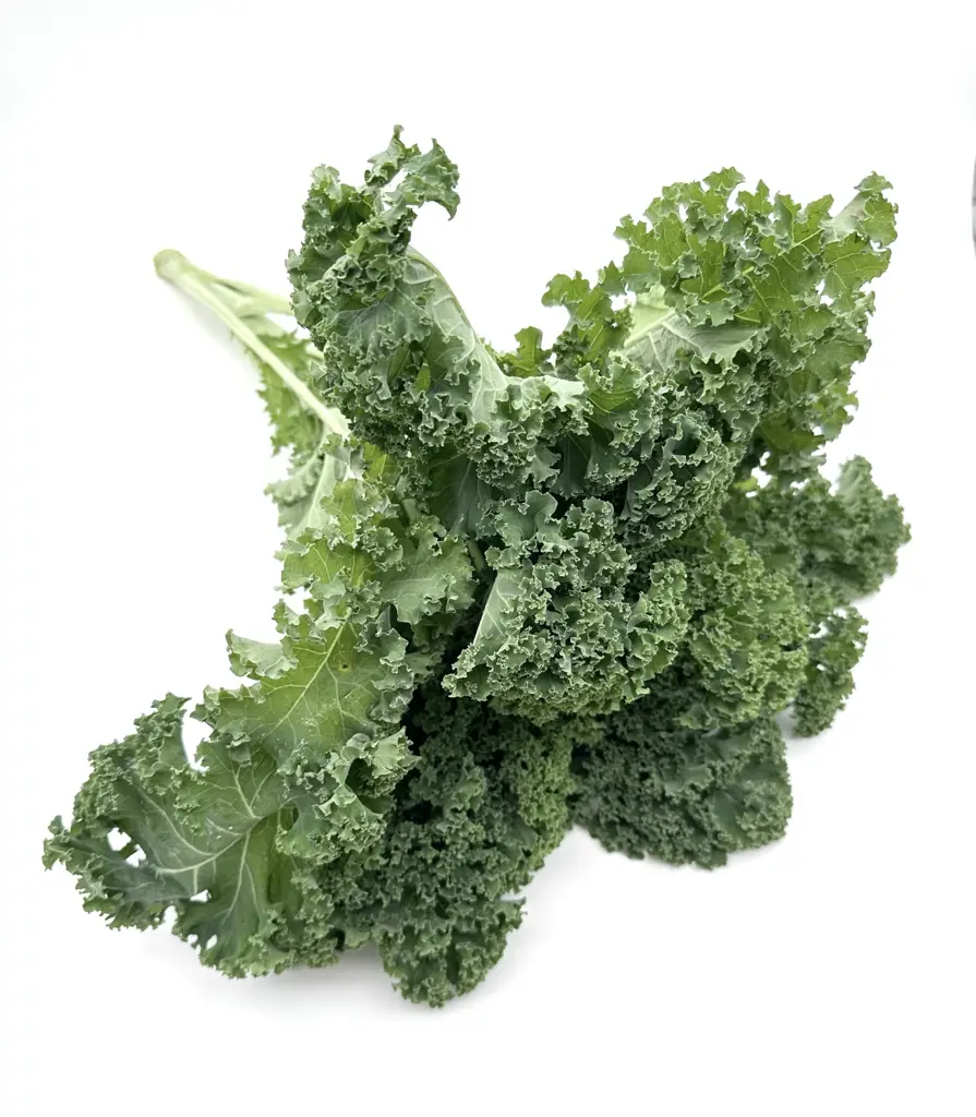 Federkohl