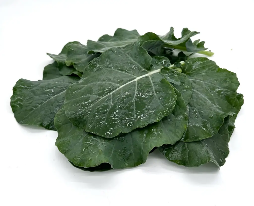 Broccoliblätter